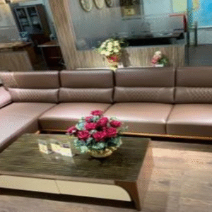 SOFA VT810 810