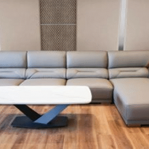 SOFA VT812 607